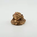 Grenouille Feng Shui Dorée